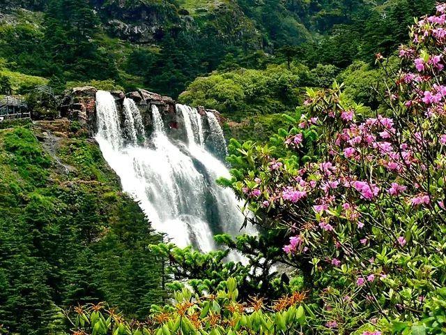 塞尔达荒野之息